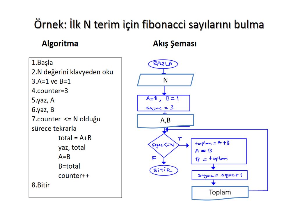 Rnekler Ppt Indir